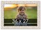 36x27 Refined White Picture Frame - UV Acrylic, Foam Board Backing, Hanging Hardware